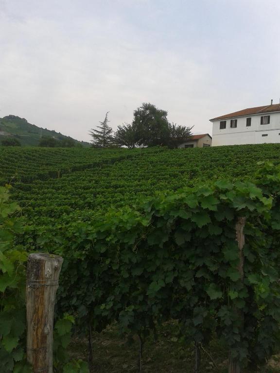 Agriturismo Ai Piacentini Santo Stefano Belbo Exterior photo